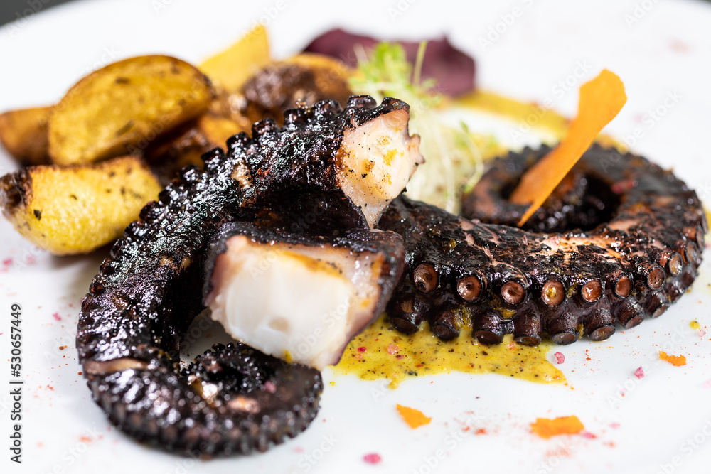 hot and cold entrees such as ceviche, octopus, asparagus, medallions, and tarts
hot and cold entrees such as ceviche, octopus, asparagus, medallions, and tarts