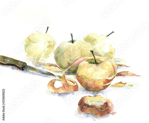 Watercolor drawing peeled apples ready for cooking the pie (ID: 530658022)