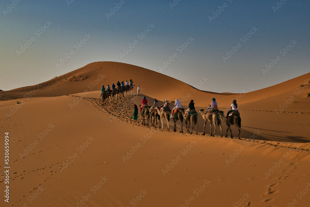 caravan in the desert, trip from Merzouga, beautiful desert landscape caravan in the desert, trip from Merzouga, beautiful desert landscape