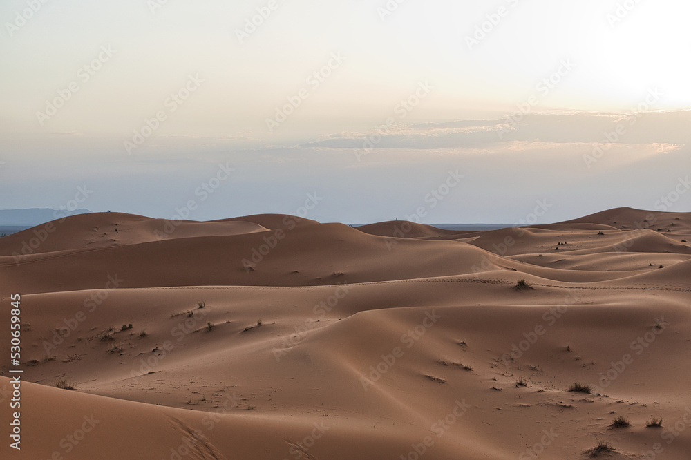 Dunes in the Sahara desert at sunset, the desert near the town of Merzouga, a beautiful African landscape Dunes in the Sahara desert at sunset, the desert near the town of Merzouga, a beautiful African landscape