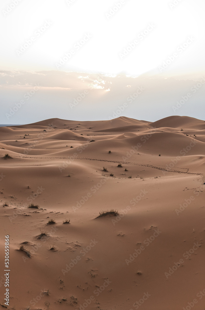 Dunes in the Sahara desert at sunset, the desert near the town of Merzouga, a beautiful African landscape Dunes in the Sahara desert at sunset, the desert near the town of Merzouga, a beautiful African landscape