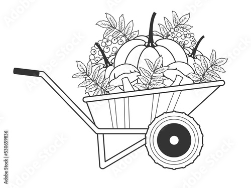 wheelbarrow and the harvest and leaves. Vector illustration. Childrens coloring book.