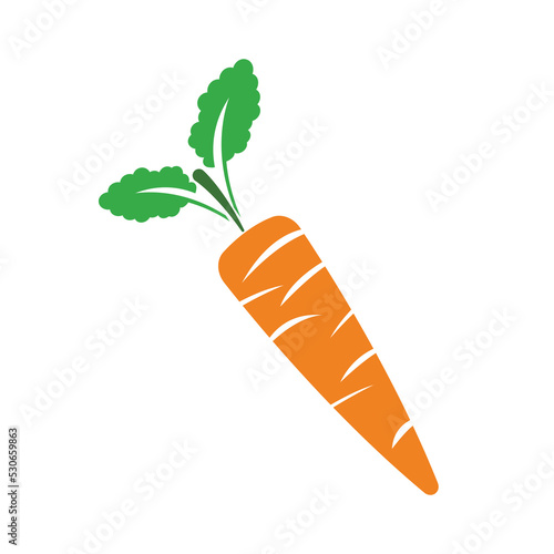 Farm-grown organic carrots. Organic fresh vegetable vector illustration	