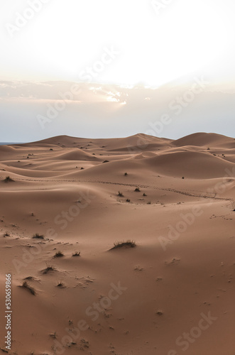 Dunes in the Sahara desert at sunset  the desert near the town of Merzouga  a beautiful African landscape