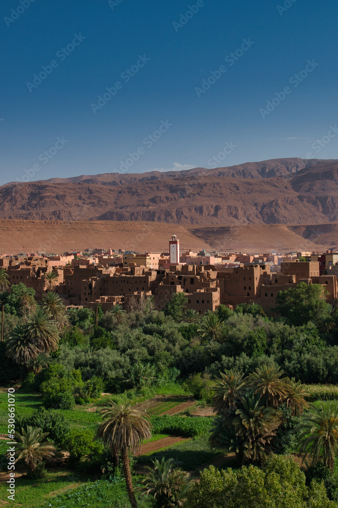 traditional red cloth town in morocco, old town panorama, traditional landscape