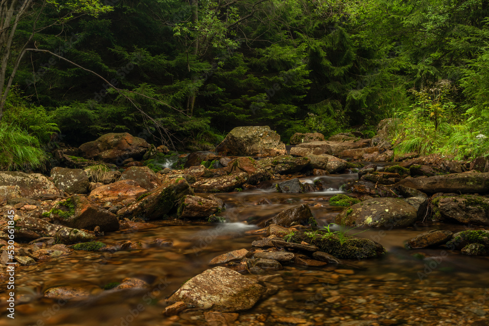 Svatopetrsky creek near Spindleruv Mlyn town in Krkonose mountains