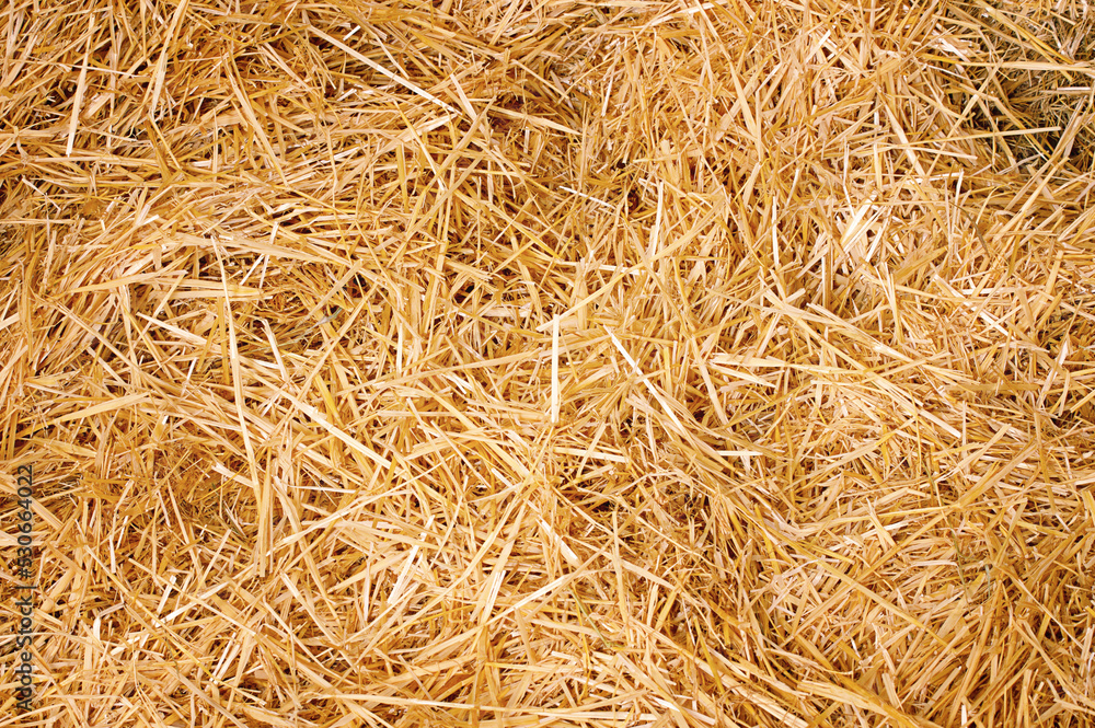 Yellow dry hay as a background. Hay macro photography. Yellow dry hay as a background. Hay macro photography.