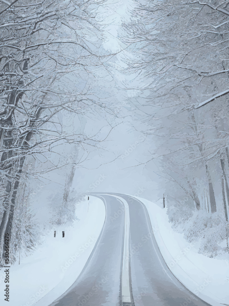 Obraz premium road in winter