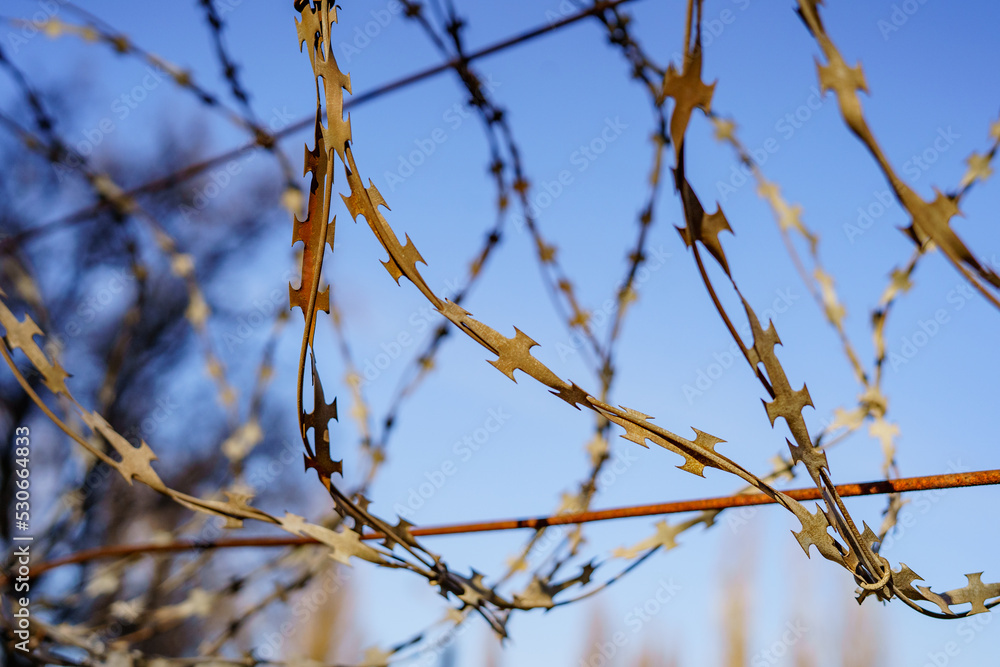 Steel barbed wire on the fence for security at the security facility. Protection against penetration into forbidden territory Steel barbed wire on the fence for security at the security facility. Protection against penetration into forbidden territory