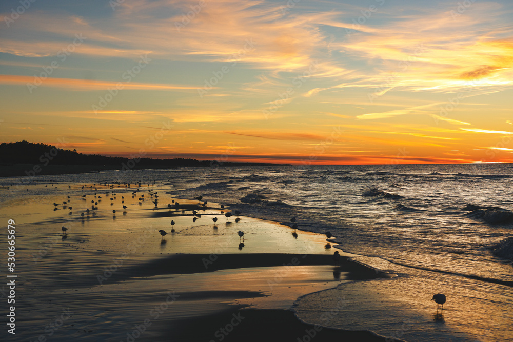 sunset on the beach with seagulls in Poland