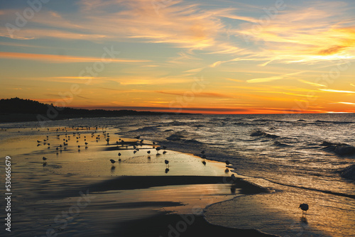sunset on the beach with seagulls in Poland