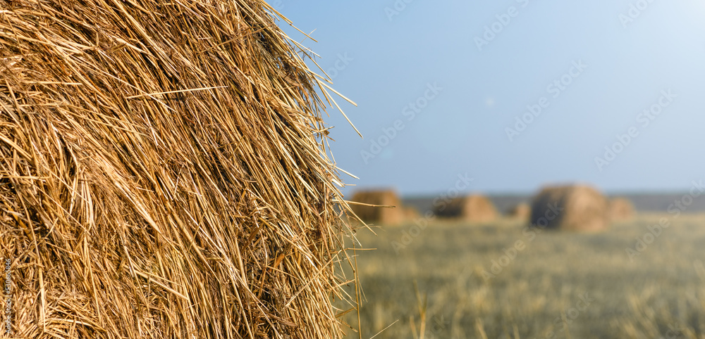 Haystack on the field close-up. Harvest concept. Rural scenery. Banner Haystack on the field close-up. Harvest concept. Rural scenery. Banner