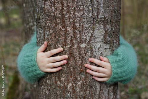 hands of a child are hugging tree trunk in the forest