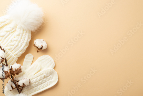 Winter concept. Top view photo of white knitted mittens bobble hat and cotton branch on isolated beige background with copyspace