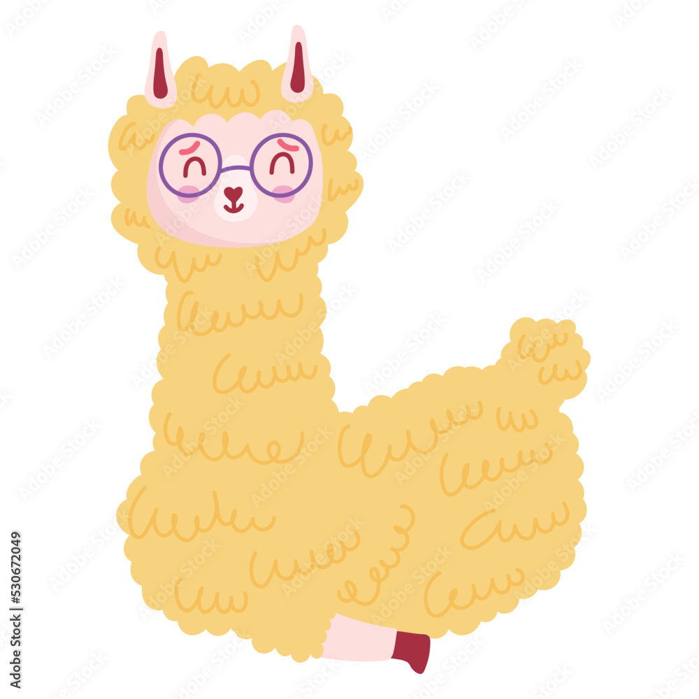Fototapeta premium funny llama with glasses