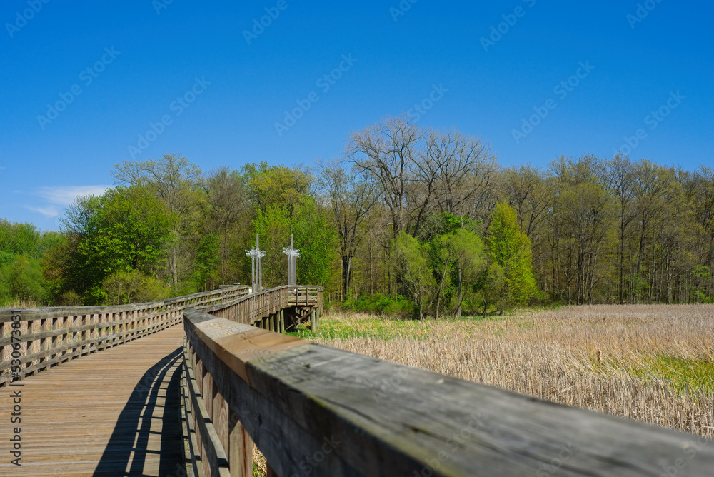 Wooden boardwalk through a wetland with viewing platform in the middle distance Wooden boardwalk through a wetland with viewing platform in the middle distance