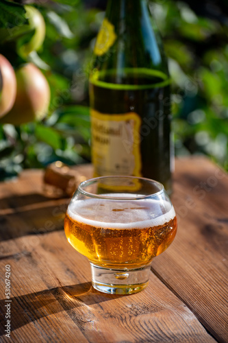 Making and tasting of fresh apple cider produced on organic farm from bio apples in Normandy, France