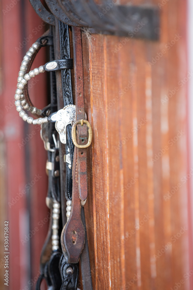 Western Show Bridle Western Show Bridle