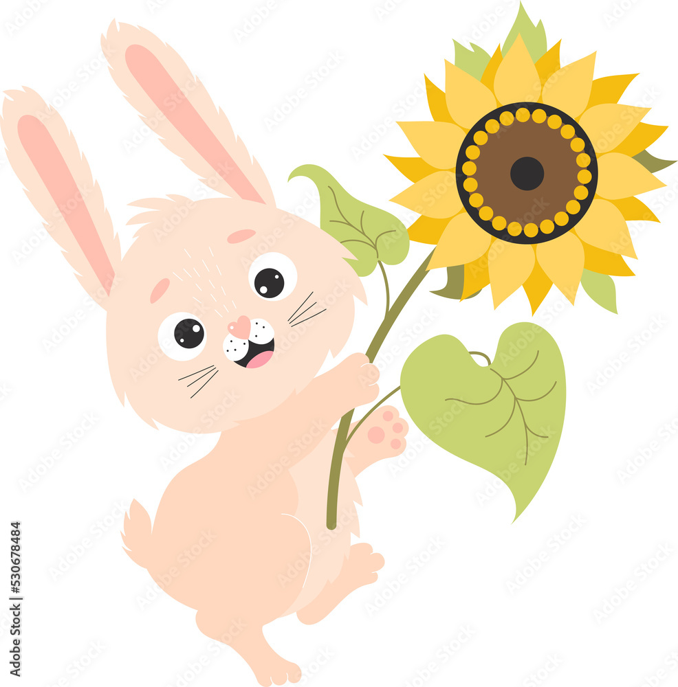 Cute bunny and sunflower Cute bunny and sunflower