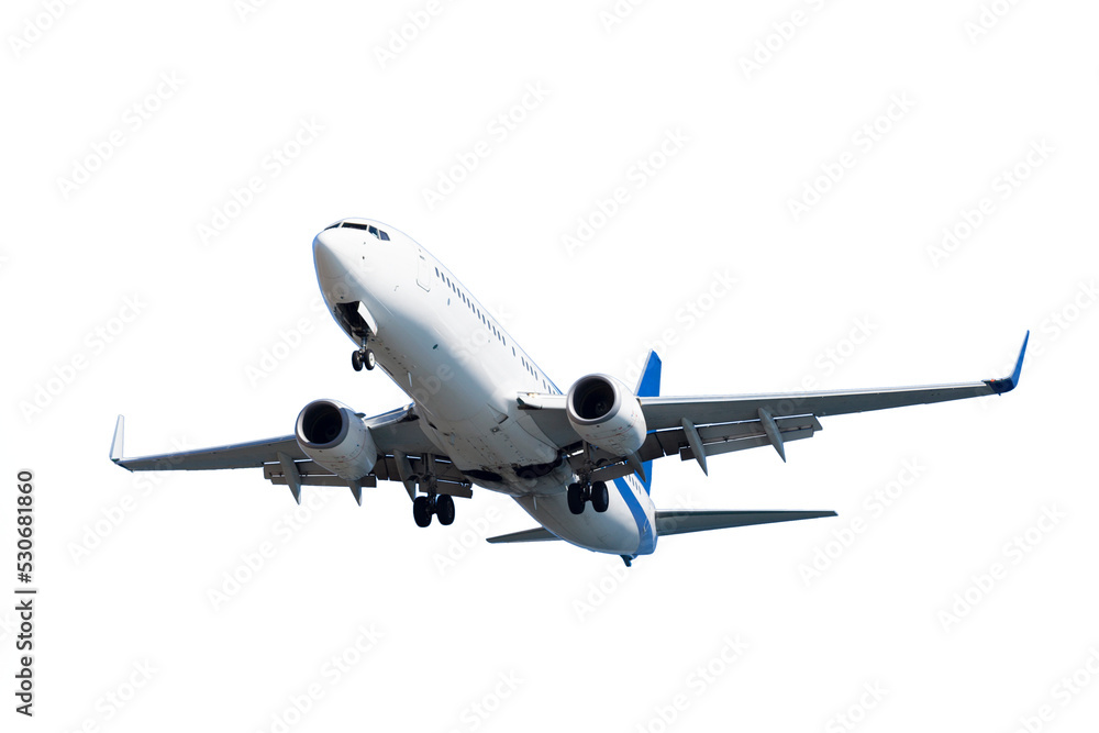 Twinjet narrow-body airliner - obrazy, fototapety, plakaty 