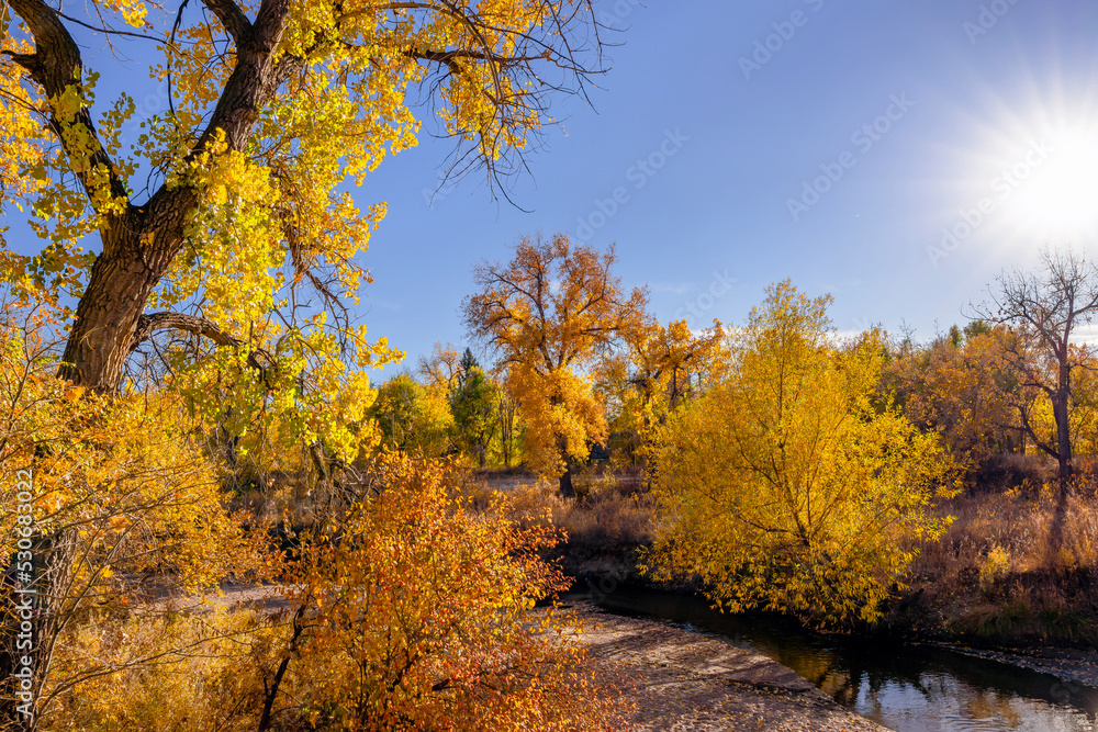 A scenic view of a small creek winding through the Landscape on a pretty and colorful Fall day in Colorado.