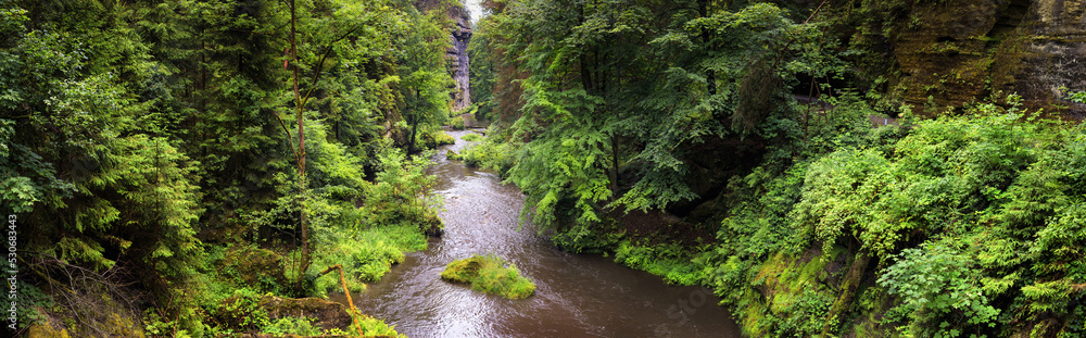 Naklejka premium Summer natural landscape, panorama, banner - view of the mountain river in the Elbe Sandstone Mountains, Bohemian Switzerland, the north-western Czech Republic