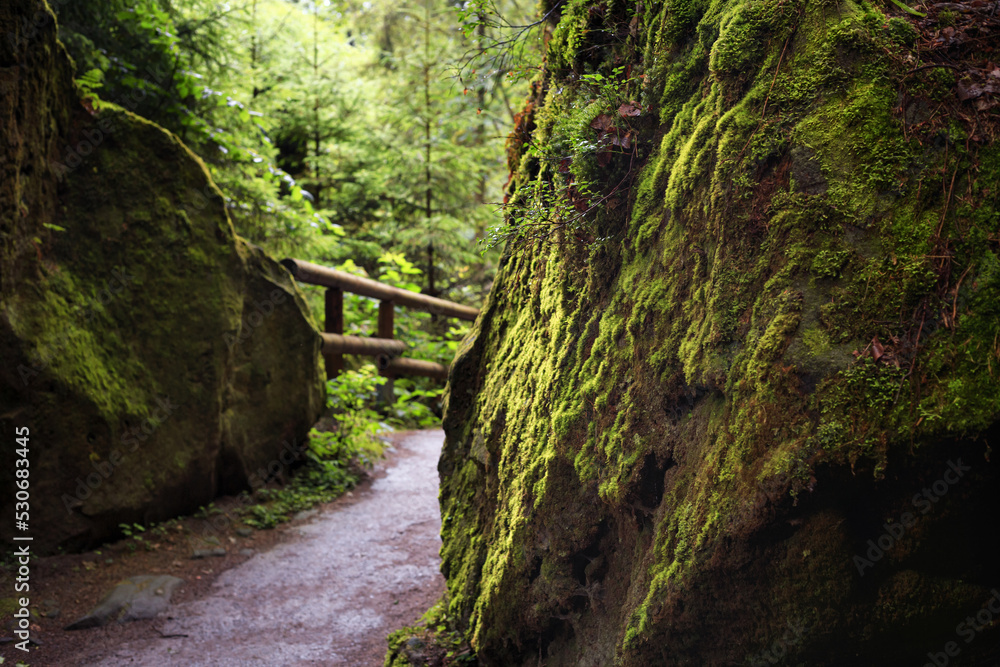 Natural landscape - view of hiking trail in the Elbe Sandstone Mountains, Bohemian Switzerland or Czech Switzerland, the north-western Czech Republic Natural landscape - view of hiking trail in the Elbe Sandstone Mountains, Bohemian Switzerland or Czech Switzerland, the north-western Czech Republic