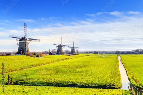 Rural landscape - view of the green meadow with windmills and channel on a sunny day, the Netherlands