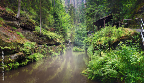 Summer natural landscape - view of the mountain river and the tourist trail in the Elbe Sandstone Mountains  Bohemian Switzerland  the north-western Czech Republic