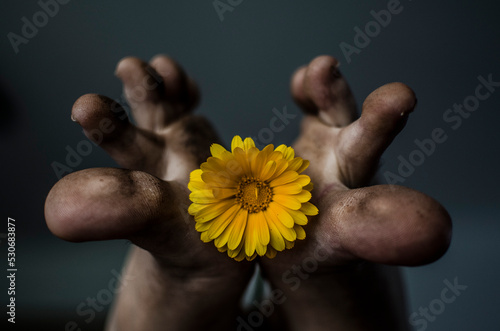 Fototapeta autorretrato de pies sucios con flor amarilla