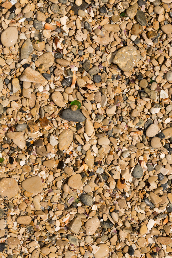 Small pebbles form the background of the sea shore. Coarse multicolor sand. Small pebbles form the background of the sea shore. Coarse multicolor sand.