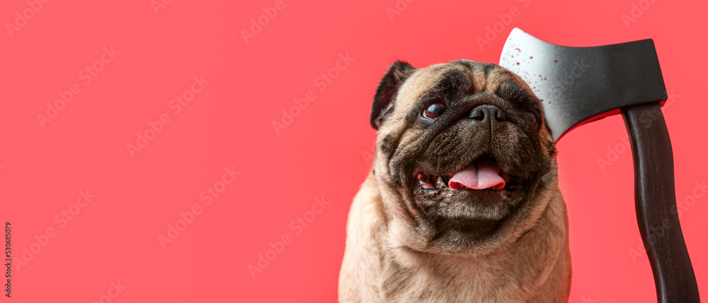 Cute pug dog with axe on red background with space for text. Halloween celebration