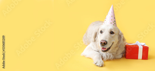 Cute Labrador dog in party hat and with gift on yellow background with space for text