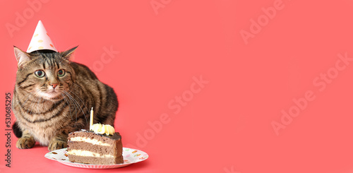 Canvas Print Cute cat in party hat and with Birthday cake on red background with space for te