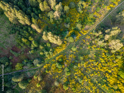 View of the forest and fields from the drone