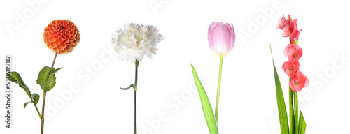Set of different flowers isolated on white © Pixel-Shot
