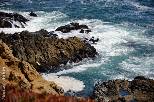 Waves crashing on rocks in Bodega Bay, California. Seals resting on brown rocks with blue waves around them. © Isabella