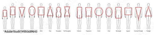 Set of Women Men body shape types. Male and Female Vector illustration style silhouettes 9 head size Gentlemen and lady figure front view. Outline boy and girl for fashion sketching and illustration