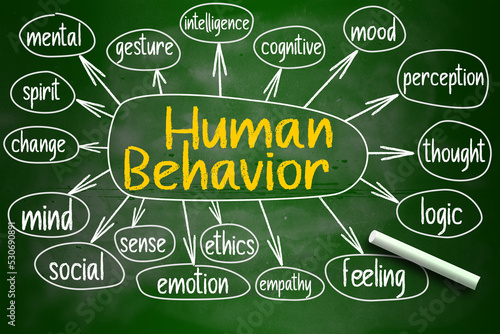 Human behavior mind map written on chalkboard