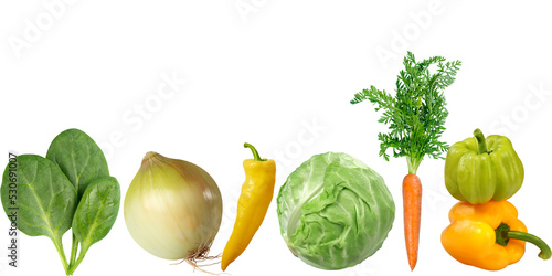 Fototapeta Naklejka Na Ścianę i Meble -  vegetables isolated on white background