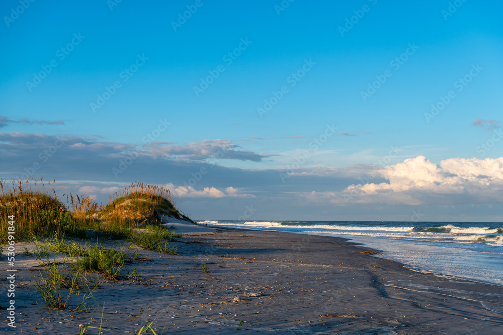 Coastal Nature Scene, Dunes, Beach, Waves