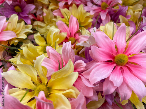 floral abstract background yellow pink and red flower close up