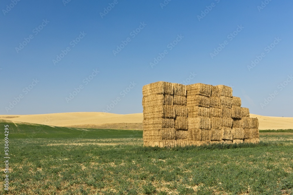 Large haystack in Washington state.