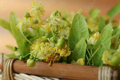 Beautiful linden blossoms and green leaves in basket, closeup