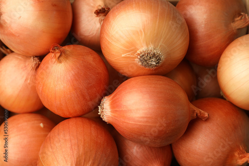 Many ripe onion bulbs as background  closeup