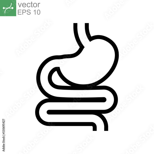 Digestive system, Human stomach and gastrointestinal system Infographic. Vital organ. Stomach, gastric and Colon tract as internal organ. Line Vector illustration. Design on white background. EPS 10