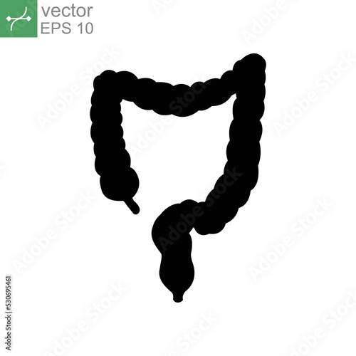 Large intestine icon solid. Intestines digestion system symbol. Healthy digestion part of internal body organ. Colitis, duodenum and colon tract. Vector illustration. Design on white background EPS 10