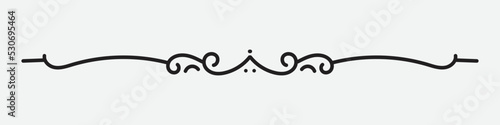Vintage divider. Calligraphic ornament. Vintage Decoration. Vector isolated illustration.