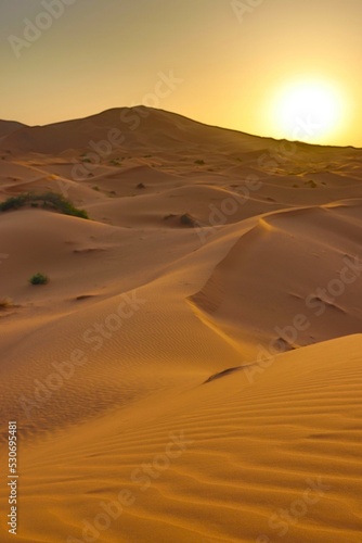 Fototapeta Naklejka Na Ścianę i Meble -  Desert Sunset