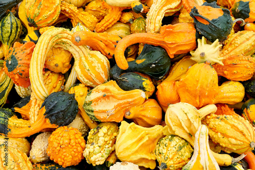 Autumn time